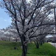 ヒメ日記 2025/04/05 14:47 投稿 みき ぽっちゃり巨乳専門木更津君津ちゃんこin千葉