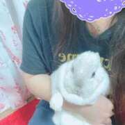 ヒメ日記 2025/04/19 23:03 投稿 みき ぽっちゃり巨乳専門木更津君津ちゃんこin千葉