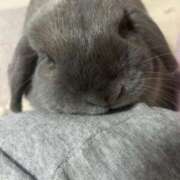 ヒメ日記 2025/04/21 23:46 投稿 みき ぽっちゃり巨乳専門木更津君津ちゃんこin千葉