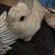 ヒメ日記 2025/08/07 23:26 投稿 みき ぽっちゃり巨乳専門木更津君津ちゃんこin千葉