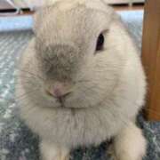 ヒメ日記 2025/10/28 17:28 投稿 みき ぽっちゃり巨乳専門木更津君津ちゃんこin千葉