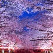 ヒメ日記 2025/04/07 08:44 投稿 奈美恵 出会い系人妻ネットワーク錦糸町～小岩編