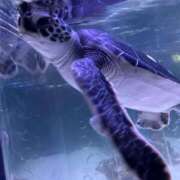 ヒメ日記 2025/08/21 15:24 投稿 奈美恵 出会い系人妻ネットワーク錦糸町～小岩編