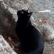 ヒメ日記 2025/03/19 08:02 投稿 佐々岡雪菜 五十路マダムエクスプレス横浜店（カサブランカグループ）