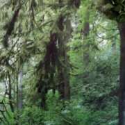 ヒメ日記 2025/03/19 13:26 投稿 佐々岡雪菜 五十路マダムエクスプレス横浜店（カサブランカグループ）