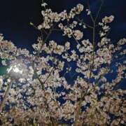 ヒメ日記 2025/03/19 19:24 投稿 佐々岡雪菜 五十路マダムエクスプレス横浜店（カサブランカグループ）