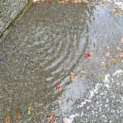 ヒメ日記 2025/03/28 09:56 投稿 佐々岡雪菜 五十路マダムエクスプレス横浜店（カサブランカグループ）