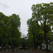 ヒメ日記 2025/04/25 13:40 投稿 佐々岡雪菜 五十路マダムエクスプレス横浜店（カサブランカグループ）