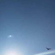 ヒメ日記 2025/04/29 17:42 投稿 佐々岡雪菜 五十路マダムエクスプレス横浜店（カサブランカグループ）