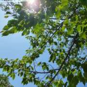 ヒメ日記 2025/05/01 14:06 投稿 佐々岡雪菜 五十路マダムエクスプレス横浜店（カサブランカグループ）