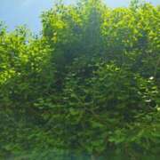 ヒメ日記 2025/05/03 19:58 投稿 佐々岡雪菜 五十路マダムエクスプレス横浜店（カサブランカグループ）