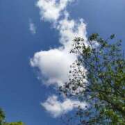 ヒメ日記 2025/05/07 10:42 投稿 佐々岡雪菜 五十路マダムエクスプレス横浜店（カサブランカグループ）