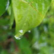 ヒメ日記 2025/05/10 09:30 投稿 佐々岡雪菜 五十路マダムエクスプレス横浜店（カサブランカグループ）