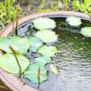 ヒメ日記 2025/05/19 15:44 投稿 佐々岡雪菜 五十路マダムエクスプレス横浜店（カサブランカグループ）