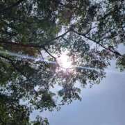 ヒメ日記 2025/05/20 10:22 投稿 佐々岡雪菜 五十路マダムエクスプレス横浜店（カサブランカグループ）