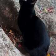 ヒメ日記 2025/05/31 08:50 投稿 佐々岡雪菜 五十路マダムエクスプレス横浜店（カサブランカグループ）