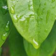 ヒメ日記 2025/06/03 18:58 投稿 佐々岡雪菜 五十路マダムエクスプレス横浜店（カサブランカグループ）