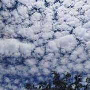 ヒメ日記 2025/06/04 10:04 投稿 佐々岡雪菜 五十路マダムエクスプレス横浜店（カサブランカグループ）