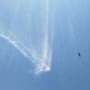 ヒメ日記 2025/06/19 11:32 投稿 佐々岡雪菜 五十路マダムエクスプレス横浜店（カサブランカグループ）