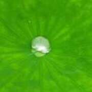 ヒメ日記 2025/06/22 21:24 投稿 佐々岡雪菜 五十路マダムエクスプレス横浜店（カサブランカグループ）