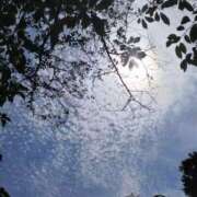 ヒメ日記 2025/06/30 14:44 投稿 佐々岡雪菜 五十路マダムエクスプレス横浜店（カサブランカグループ）