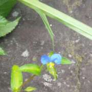 ヒメ日記 2025/07/15 12:34 投稿 佐々岡雪菜 五十路マダムエクスプレス横浜店（カサブランカグループ）