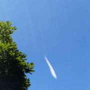 ヒメ日記 2025/07/23 12:12 投稿 佐々岡雪菜 五十路マダムエクスプレス横浜店（カサブランカグループ）