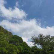 ヒメ日記 2025/08/03 15:22 投稿 佐々岡雪菜 五十路マダムエクスプレス横浜店（カサブランカグループ）