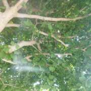 ヒメ日記 2025/08/04 10:58 投稿 佐々岡雪菜 五十路マダムエクスプレス横浜店（カサブランカグループ）