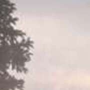 ヒメ日記 2025/08/07 19:40 投稿 佐々岡雪菜 五十路マダムエクスプレス横浜店（カサブランカグループ）