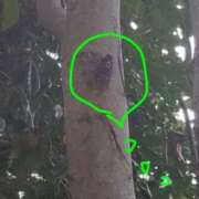 ヒメ日記 2025/08/08 15:10 投稿 佐々岡雪菜 五十路マダムエクスプレス横浜店（カサブランカグループ）