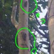 ヒメ日記 2025/08/18 16:38 投稿 佐々岡雪菜 五十路マダムエクスプレス横浜店（カサブランカグループ）