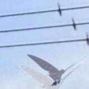 ヒメ日記 2025/08/26 09:26 投稿 佐々岡雪菜 五十路マダムエクスプレス横浜店（カサブランカグループ）