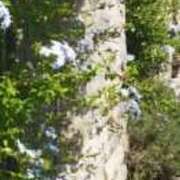 ヒメ日記 2025/08/27 08:56 投稿 佐々岡雪菜 五十路マダムエクスプレス横浜店（カサブランカグループ）