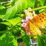 ヒメ日記 2025/09/07 13:20 投稿 佐々岡雪菜 五十路マダムエクスプレス横浜店（カサブランカグループ）