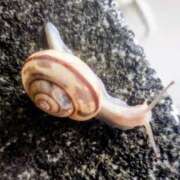 ヒメ日記 2025/09/19 09:48 投稿 佐々岡雪菜 五十路マダムエクスプレス横浜店（カサブランカグループ）