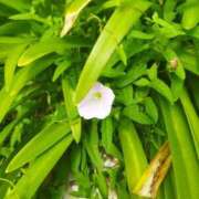 ヒメ日記 2025/09/23 19:02 投稿 佐々岡雪菜 五十路マダムエクスプレス横浜店（カサブランカグループ）