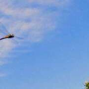 ヒメ日記 2025/09/24 19:06 投稿 佐々岡雪菜 五十路マダムエクスプレス横浜店（カサブランカグループ）