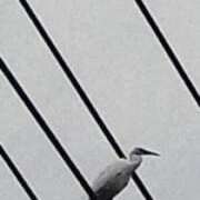 ヒメ日記 2025/09/28 10:14 投稿 佐々岡雪菜 五十路マダムエクスプレス横浜店（カサブランカグループ）