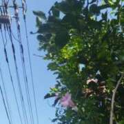 ヒメ日記 2025/09/30 09:18 投稿 佐々岡雪菜 五十路マダムエクスプレス横浜店（カサブランカグループ）