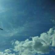 ヒメ日記 2025/10/06 16:28 投稿 佐々岡雪菜 五十路マダムエクスプレス横浜店（カサブランカグループ）