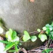 ヒメ日記 2025/10/15 09:06 投稿 佐々岡雪菜 五十路マダムエクスプレス横浜店（カサブランカグループ）