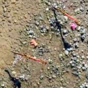 ヒメ日記 2025/10/17 11:56 投稿 佐々岡雪菜 五十路マダムエクスプレス横浜店（カサブランカグループ）