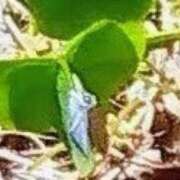 ヒメ日記 2025/10/18 10:18 投稿 佐々岡雪菜 五十路マダムエクスプレス横浜店（カサブランカグループ）