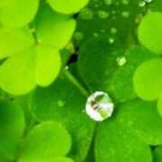 ヒメ日記 2025/10/19 10:02 投稿 佐々岡雪菜 五十路マダムエクスプレス横浜店（カサブランカグループ）