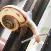 ヒメ日記 2025/10/21 07:32 投稿 佐々岡雪菜 五十路マダムエクスプレス横浜店（カサブランカグループ）