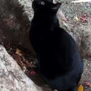 ヒメ日記 2025/10/22 10:58 投稿 佐々岡雪菜 五十路マダムエクスプレス横浜店（カサブランカグループ）