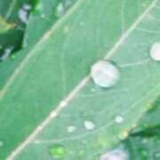 ヒメ日記 2025/10/26 08:20 投稿 佐々岡雪菜 五十路マダムエクスプレス横浜店（カサブランカグループ）