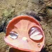 ヒメ日記 2025/10/27 10:24 投稿 佐々岡雪菜 五十路マダムエクスプレス横浜店（カサブランカグループ）