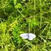 ヒメ日記 2025/10/27 20:48 投稿 佐々岡雪菜 五十路マダムエクスプレス横浜店（カサブランカグループ）